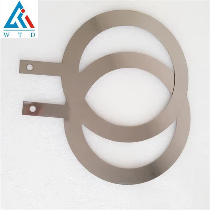 Hastelloy C276 Grounding Ring